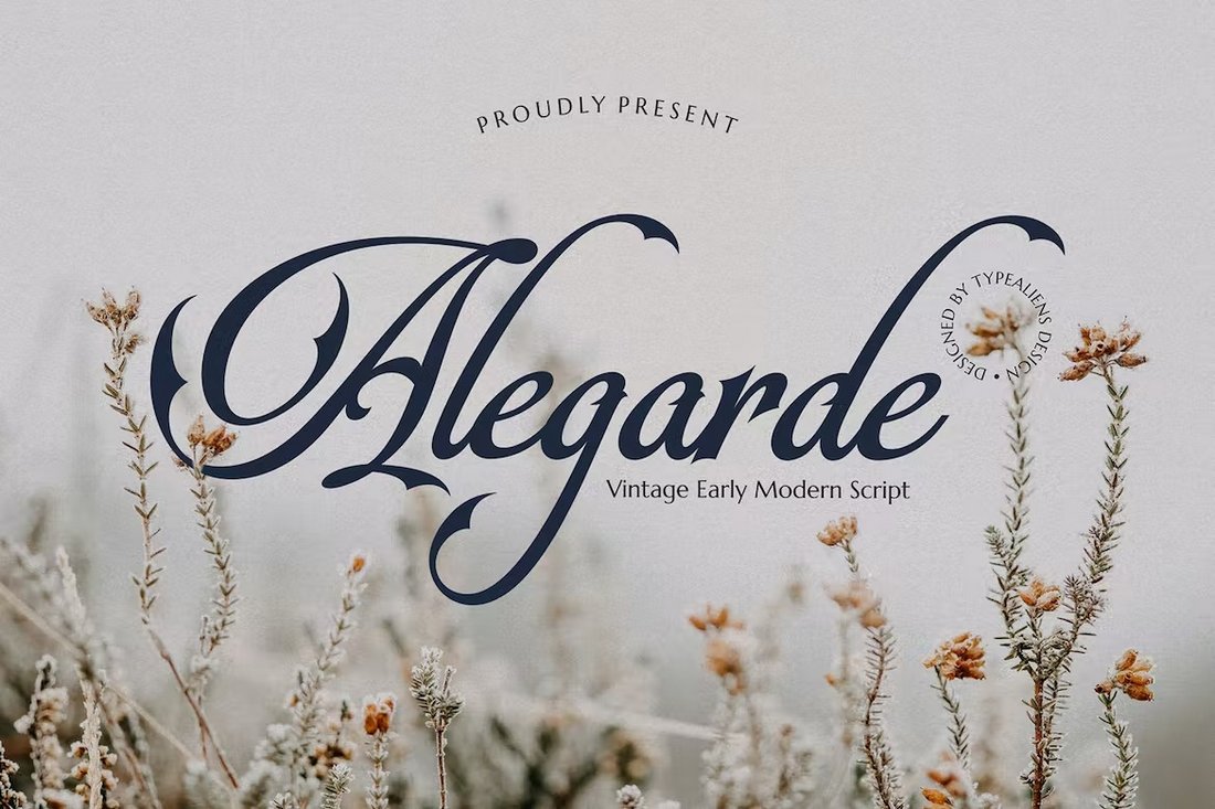 Alegarde - Vintage Early Modern Script Font