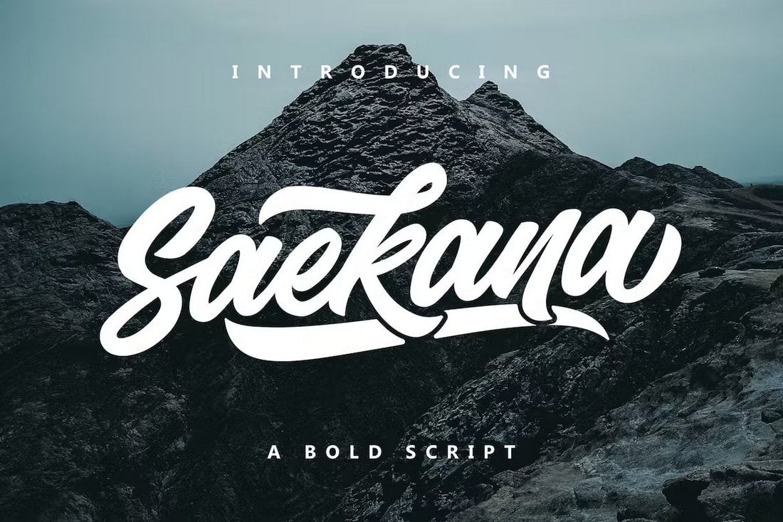 Saekana - Modern Script Font