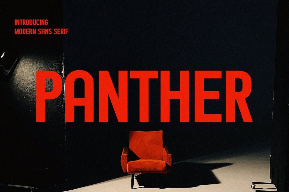 Panther - Modern Font for Book Covers
